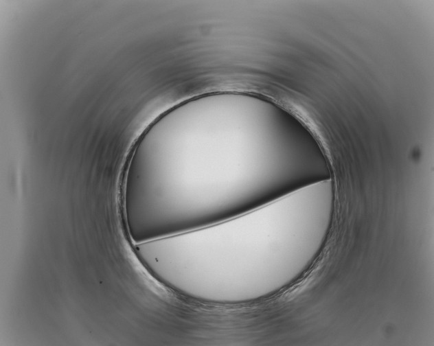 X0000090880803200707271015
