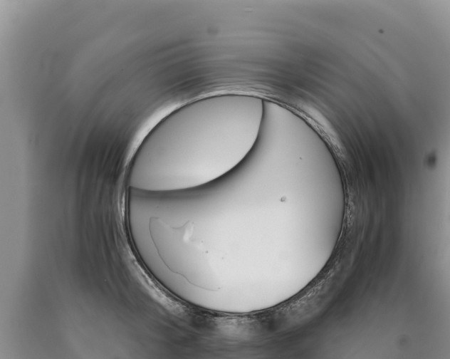 X0000090880804200707271015