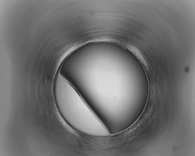 X0000090880805200707271015