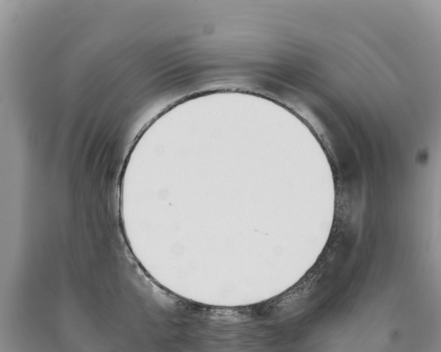 X0000090880807200707271015