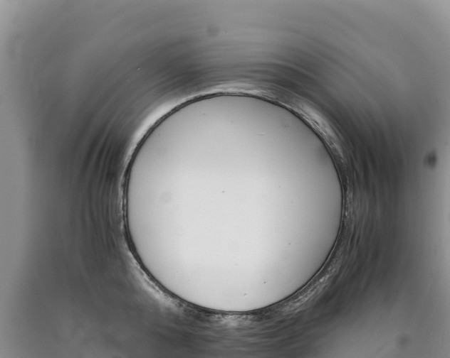 X0000090880808200707271015