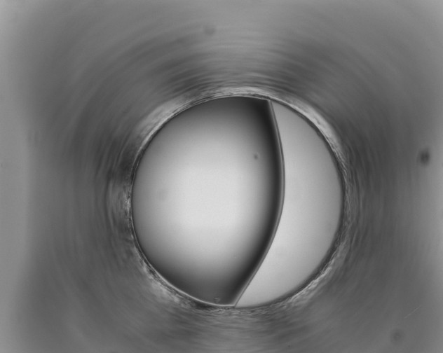 X0000090880809200707271015
