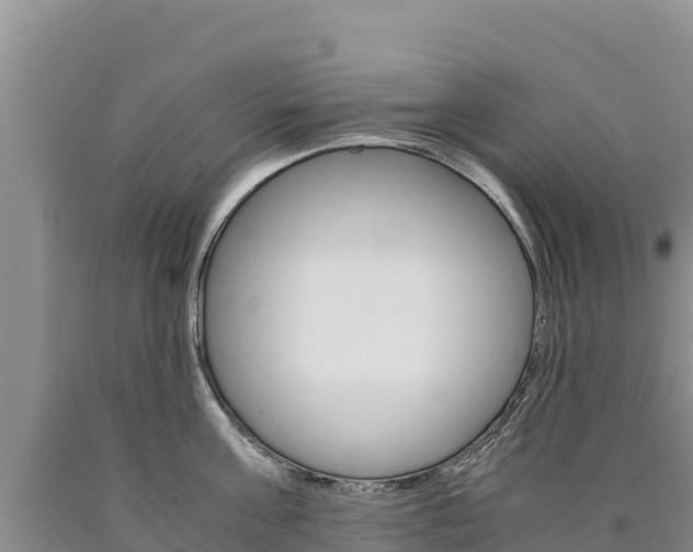 X0000090880811200707271015