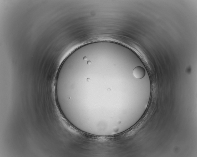 X0000090880814200707271015