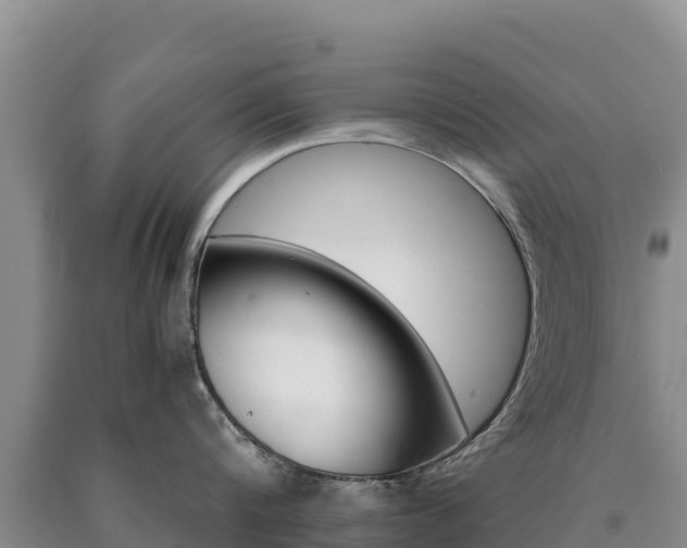 X0000090880816200707271015