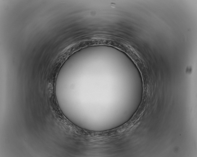 X0000090880821200707271014