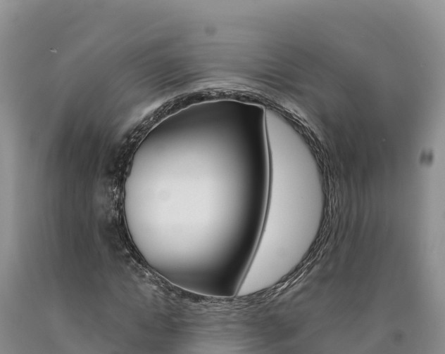 X0000090880822200707271014