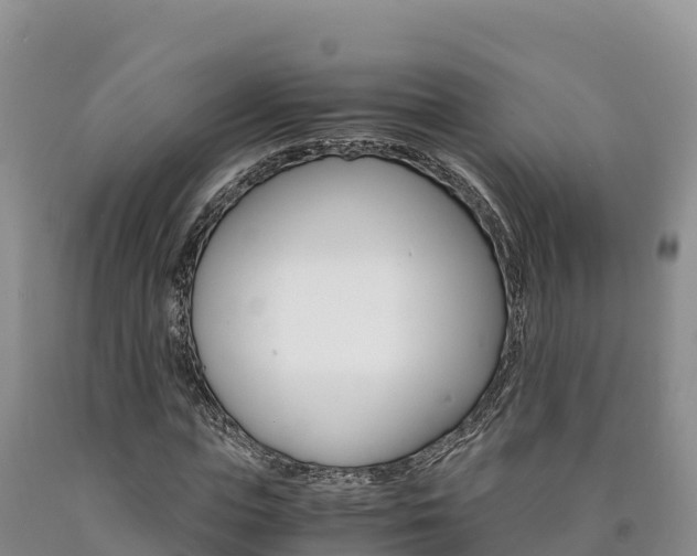 X0000090880823200707271014