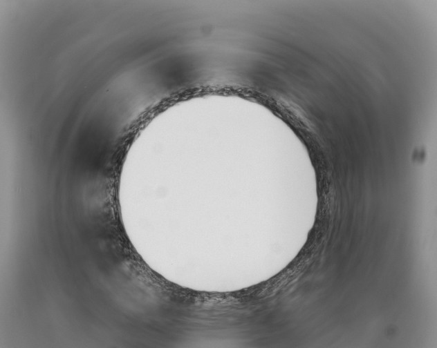 X0000090880824200707271014