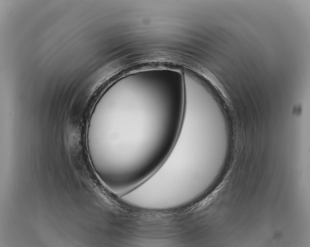 X0000090880826200707271014