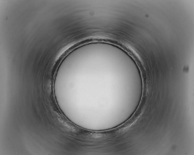 X0000090880829200707271014