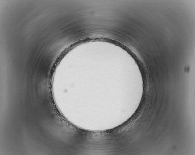 X0000090880832200707271014