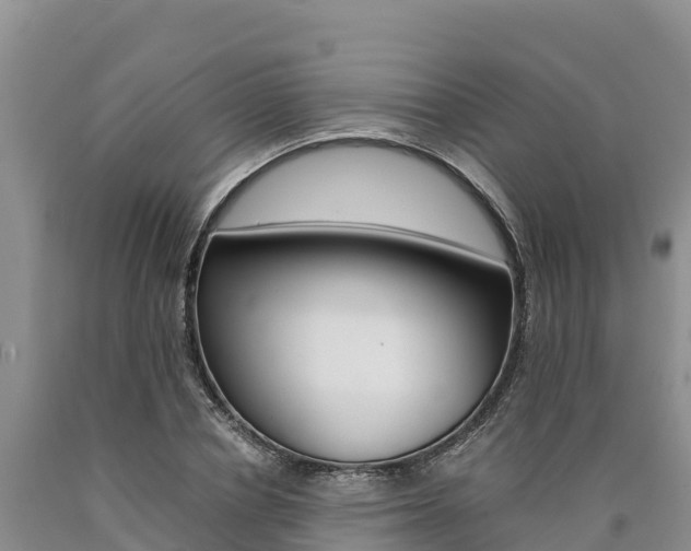 X0000090880834200707271014