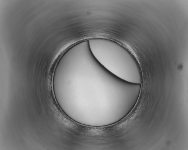 X0000090880835200707271014