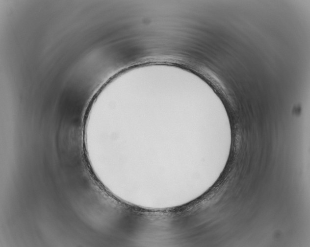 X0000090880836200707271014
