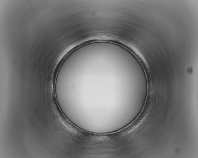 X0000090880837200707271014