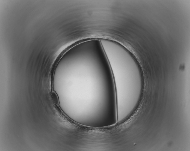 X0000090880838200707271014