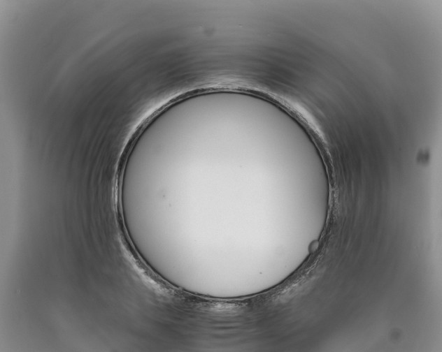 X0000090880839200707271014