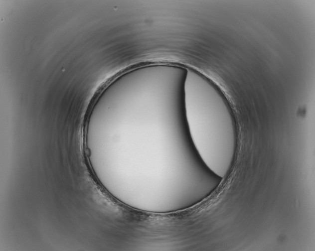 X0000090880840200707271014