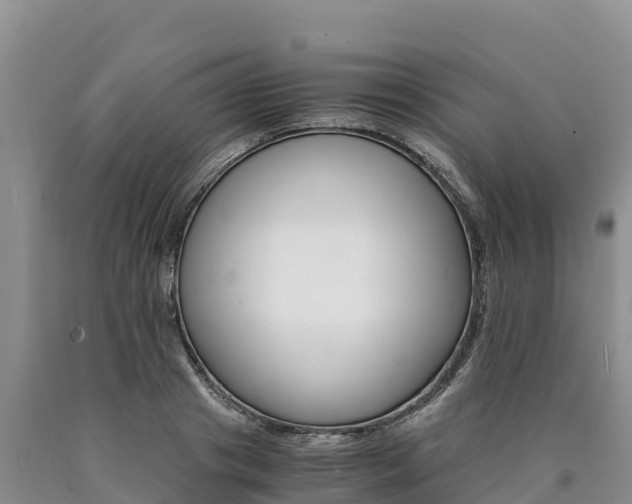 X0000090880841200707271014