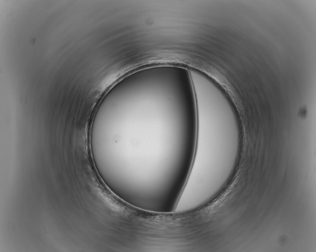 X0000090880842200707271014