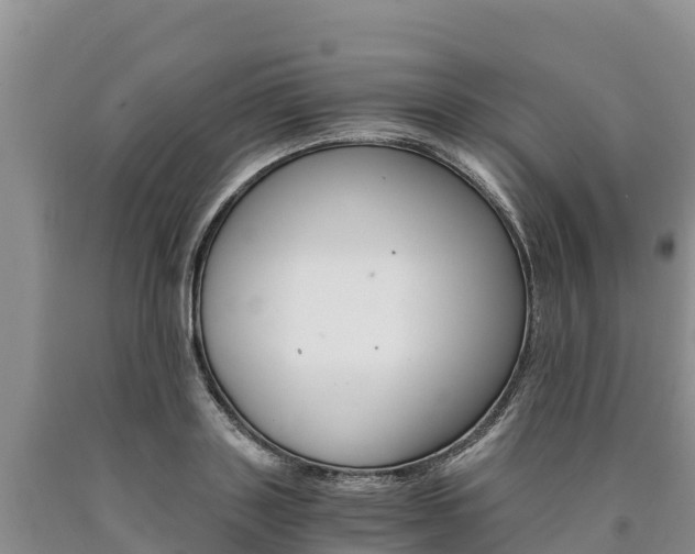 X0000090880843200707271014