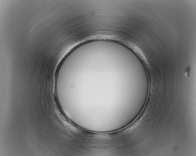 X0000090880844200707271014