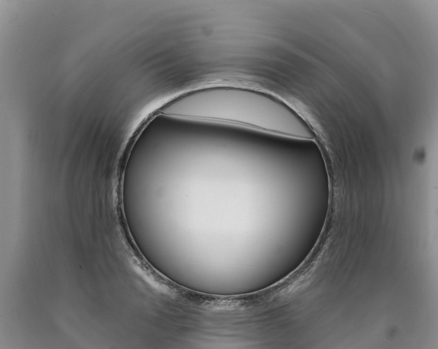 X0000090880846200707271015