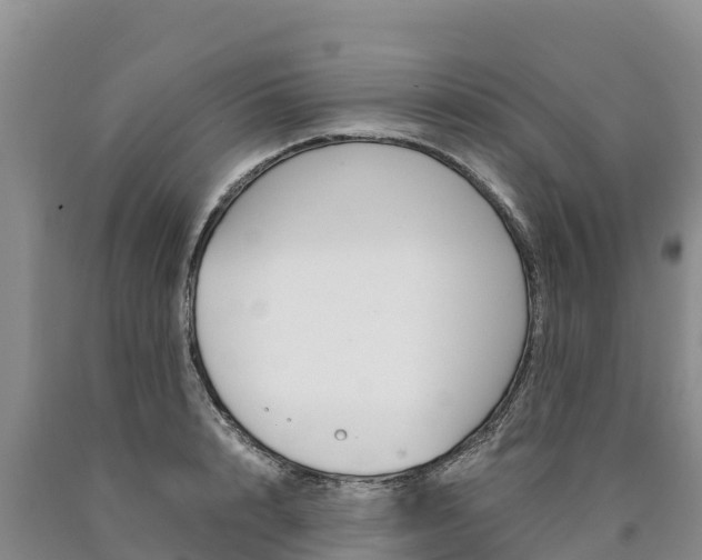 X0000090880848200707271015