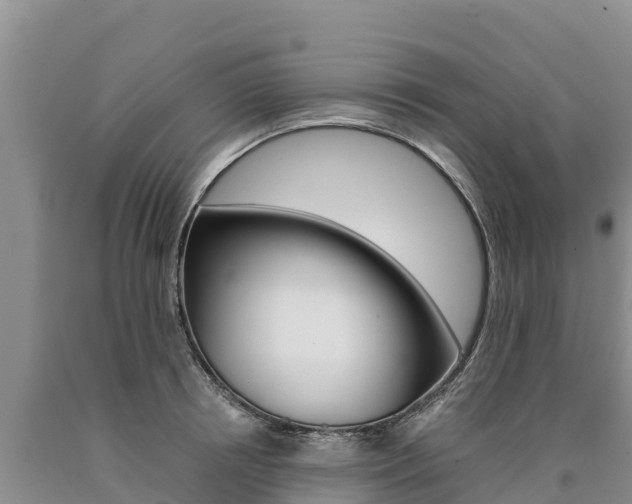 X0000090880850200707271015