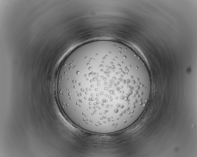 X0000090880851200707271015
