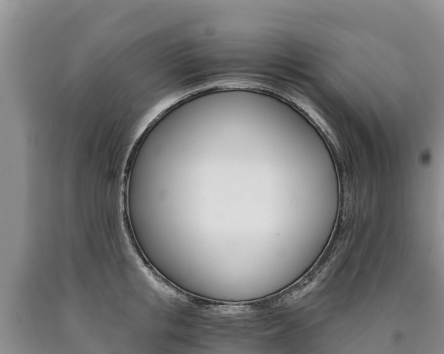 X0000090880853200707271015