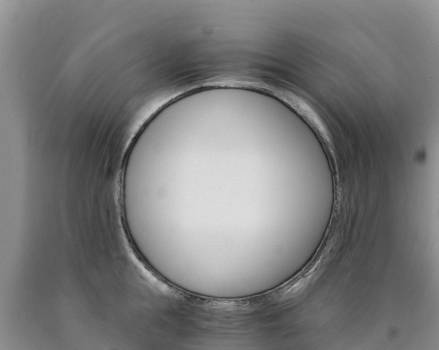 X0000090880855200707271015