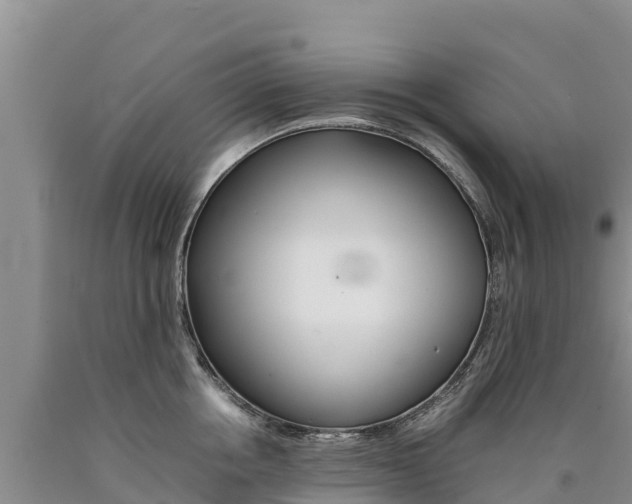 X0000090880858200707271015
