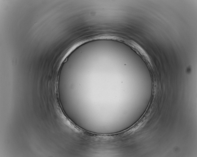 X0000090880860200707271015