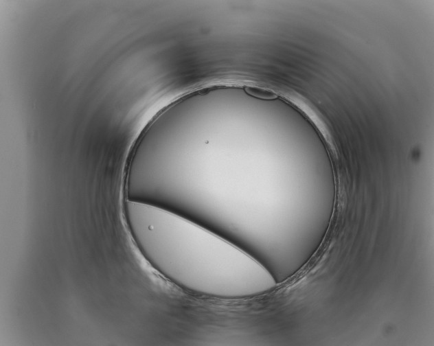 X0000090880861200707271015