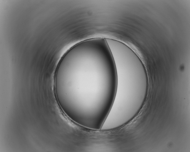 X0000090880862200707271015