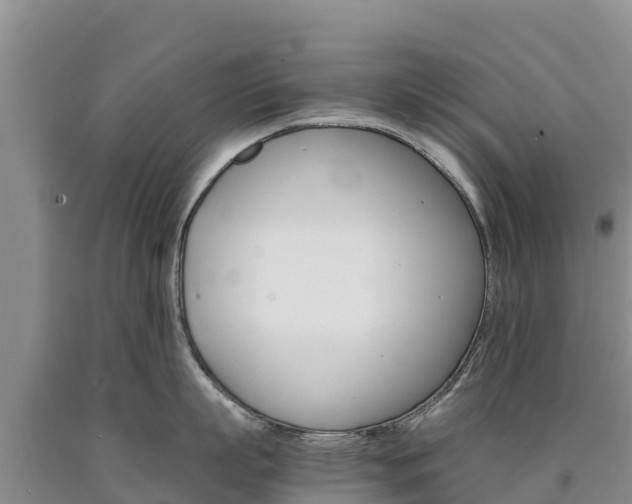 X0000090880863200707271015