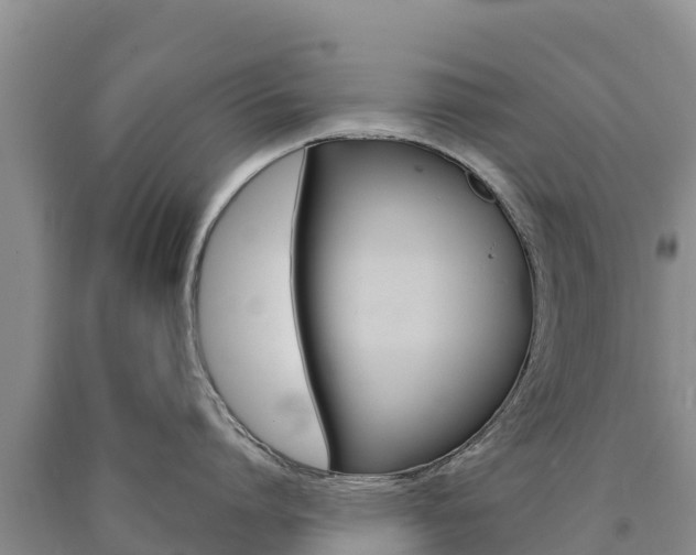 X0000090880864200707271015