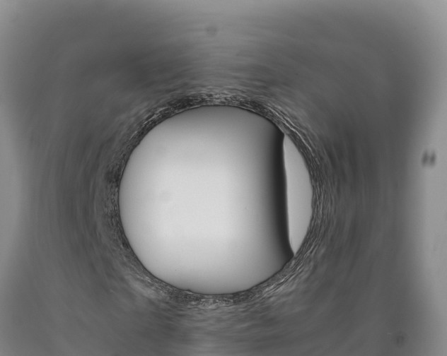 X0000090880865200707271014
