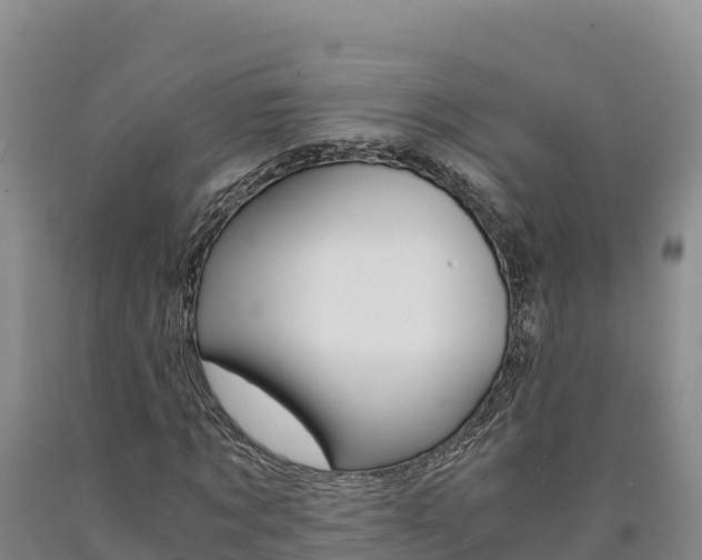 X0000090880869200707271014