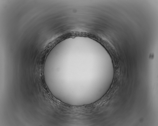 X0000090880870200707271014