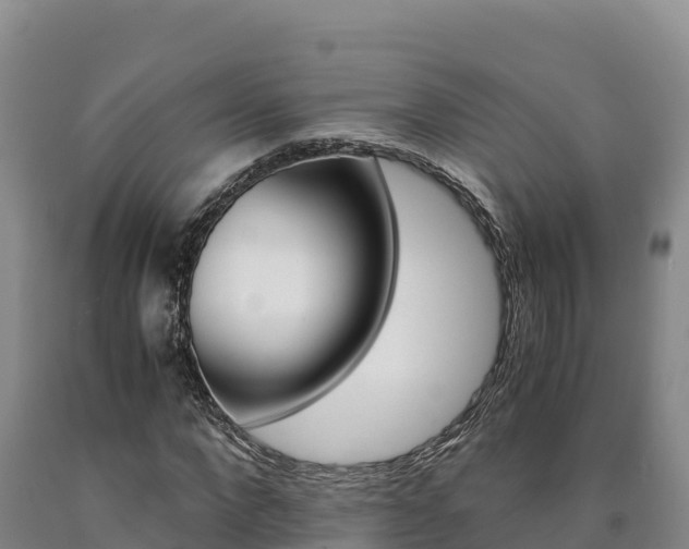 X0000090880872200707271014