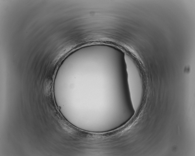 X0000090880873200707271014