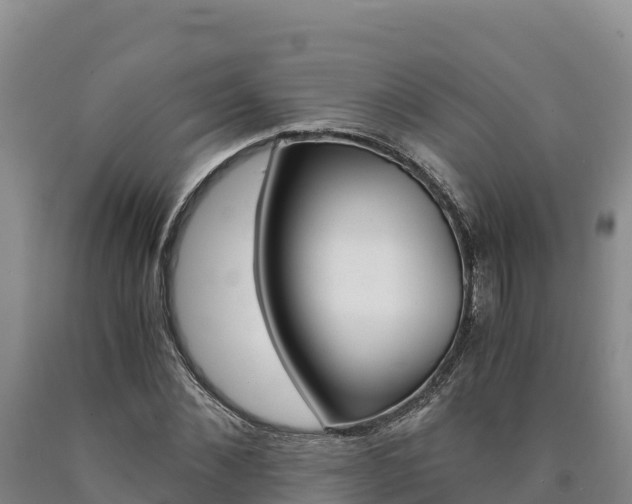 X0000090880876200707271014