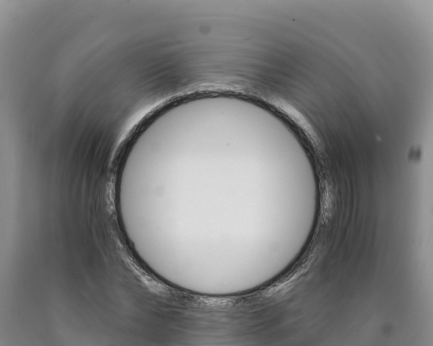 X0000090880878200707271014