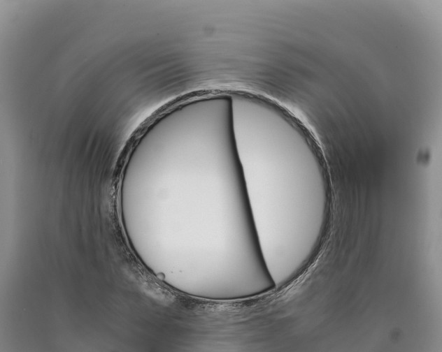 X0000090880879200707271014