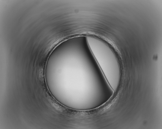 X0000090880881200707271014
