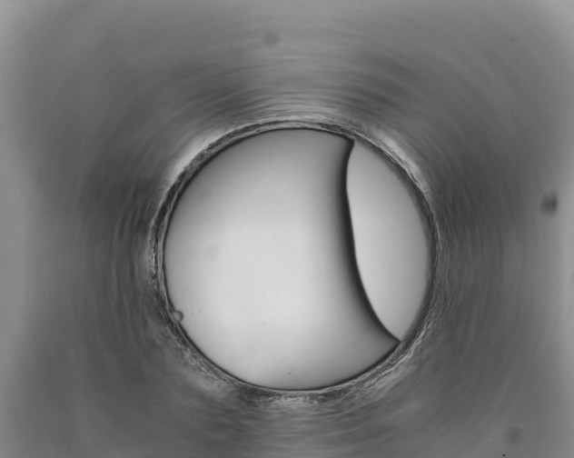 X0000090880883200707271014