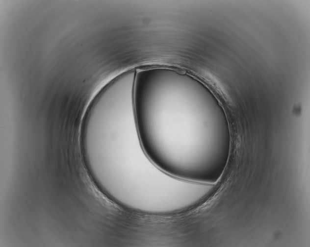 X0000090880884200707271014